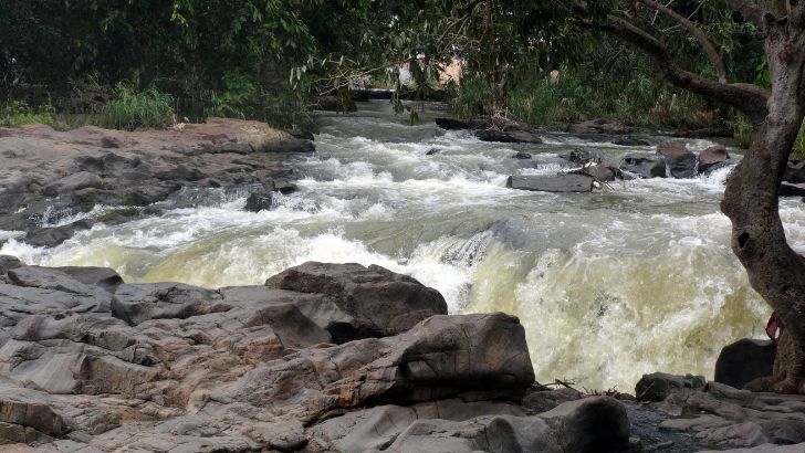 https://www.salarnews.in/public/uploads/images/newsimages/maannewsimage09092026_155847_Cauvery.jpg