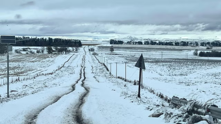 https://www.salarnews.in/public/uploads/images/newsimages/maannewsimage11062025_174503_snoww.png