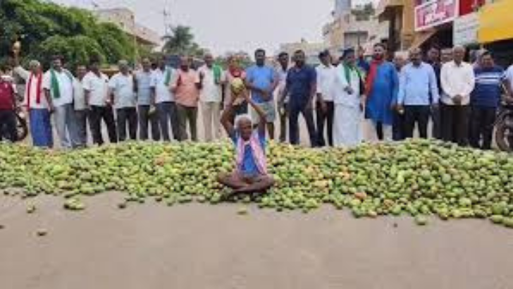 https://www.salarnews.in/public/uploads/images/newsimages/maannewsimage11062025_233540_mango.png