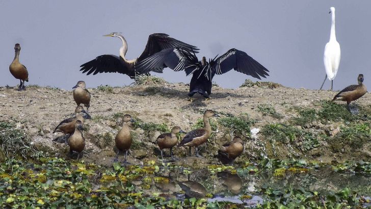 https://www.salarnews.in/public/uploads/images/newsimages/maannewsimage12082026_223414_Kaziranga.jpg