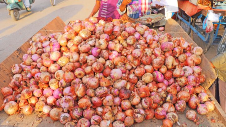 https://www.salarnews.in/public/uploads/images/newsimages/maannewsimage13092026_210433_onions.jpg