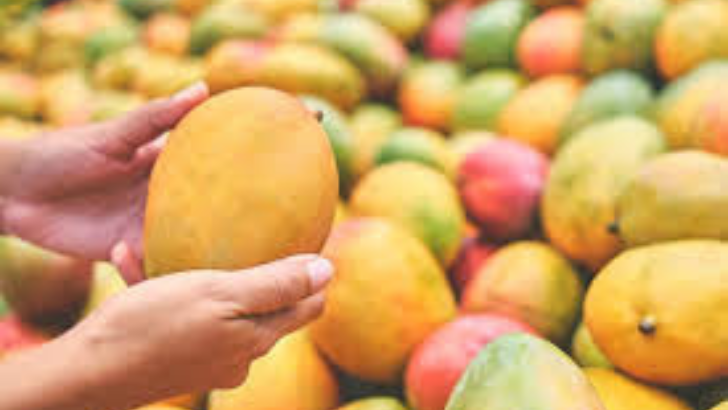 https://www.salarnews.in/public/uploads/images/newsimages/maannewsimage14062025_234221_mangoes.png