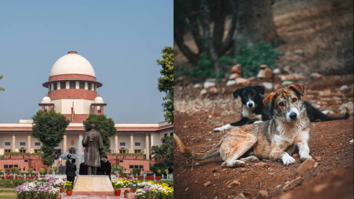 https://www.salarnews.in/public/uploads/images/newsimages/maannewsimage14082025_145100_dogs.png