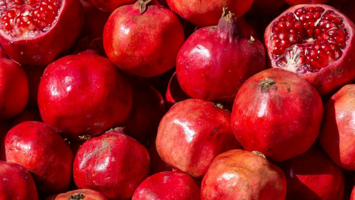 https://www.salarnews.in/public/uploads/images/newsimages/maannewsimage15082026_222554_pomegranate.jpg