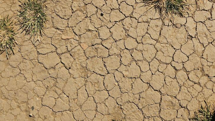 https://www.salarnews.in/public/uploads/images/newsimages/maannewsimage15102026_221248_drought.jpg
