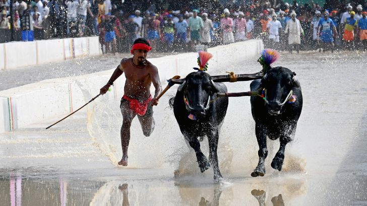 https://www.salarnews.in/public/uploads/images/newsimages/maannewsimage19082026_211805_kambala.jpg