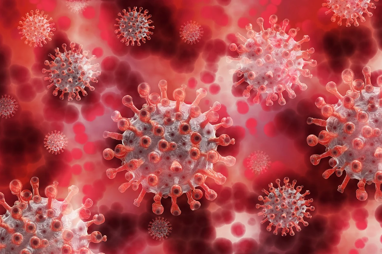 https://www.salarnews.in/public/uploads/images/newsimages/maannewsimage28052025_214340_coronavirus-5174671_1280.webp
